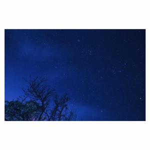 国产做爰XXXⅩ高潮视频12p
